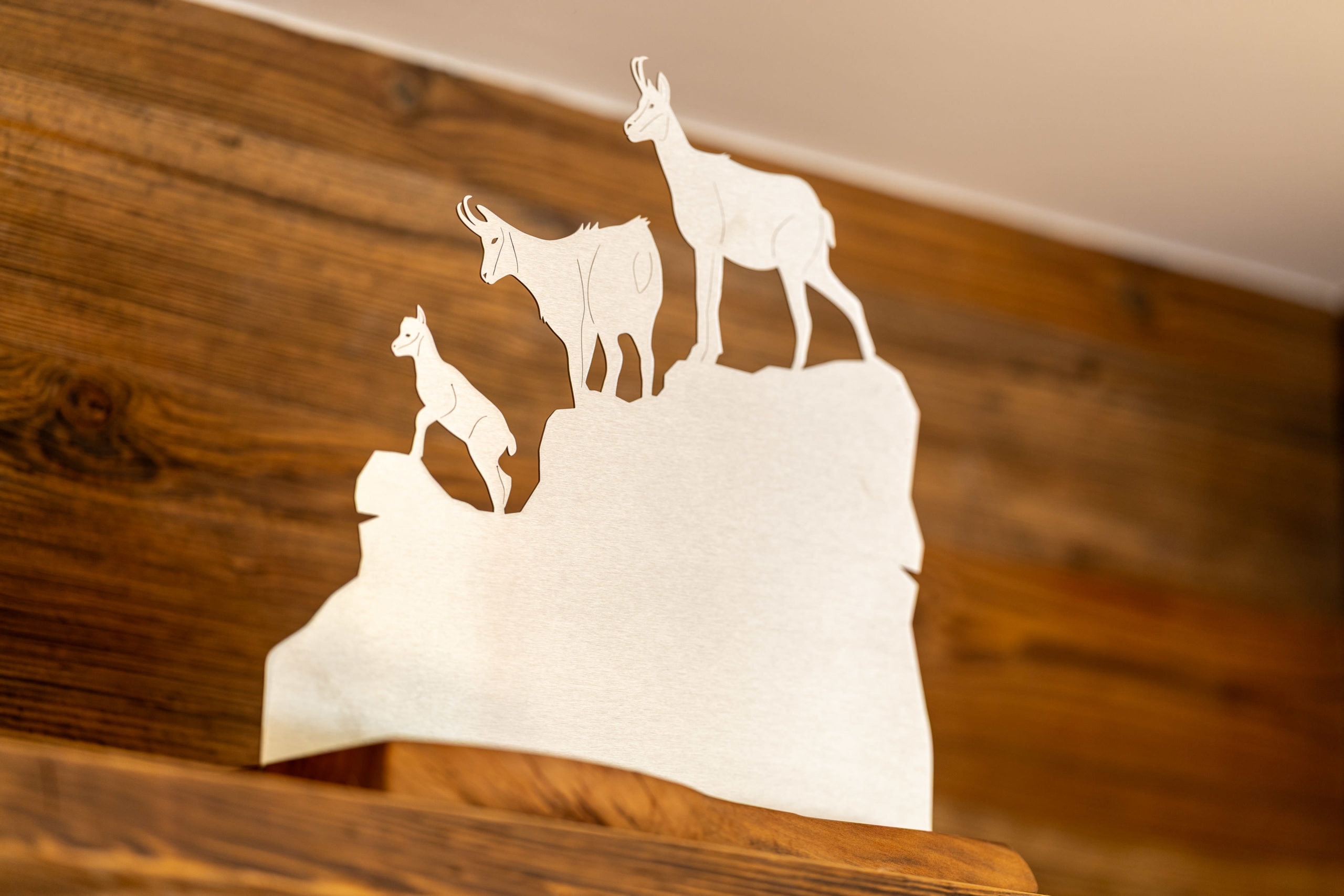 Le_Chamois_Alpine_Active_Lodge_Siviez (17)